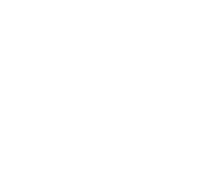 Logo This is house